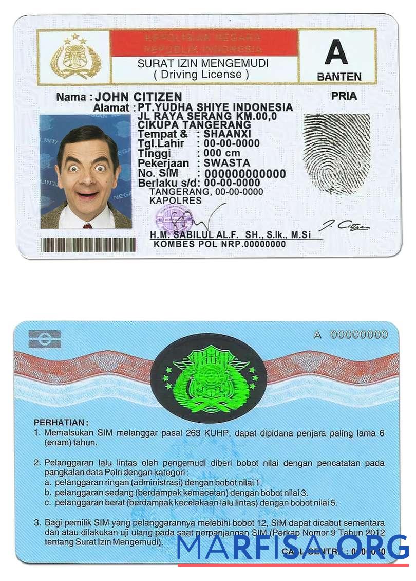 Realistic Indonesia driving license download for verification